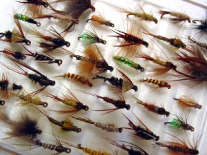 Different Types of Fishing Flies